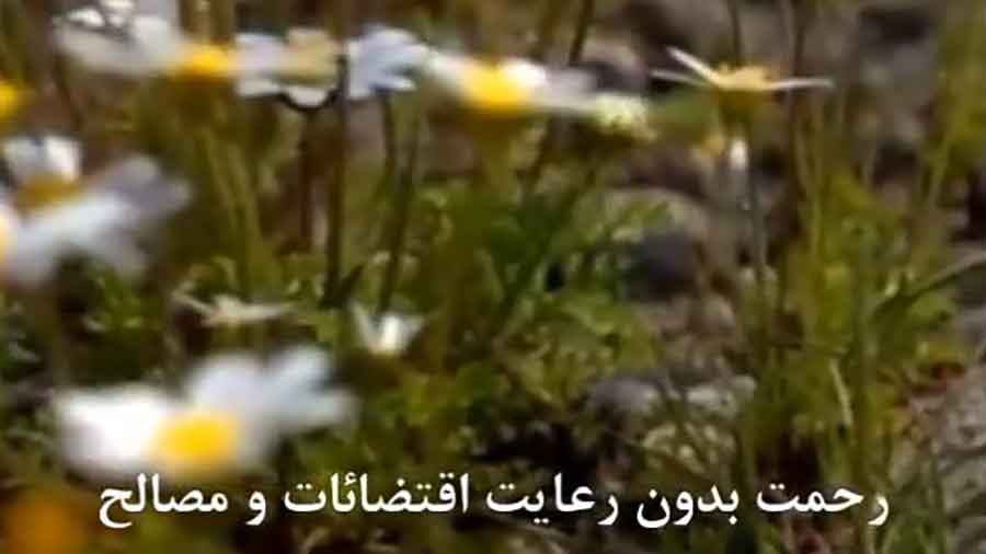 رحمت بدون حکمت مساوی است با حماقت