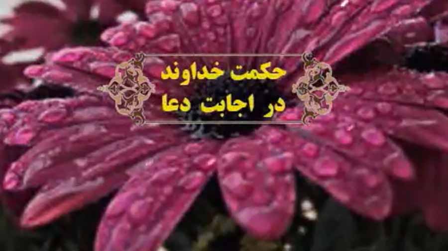 حکمت خداوند در اجابت دعاها