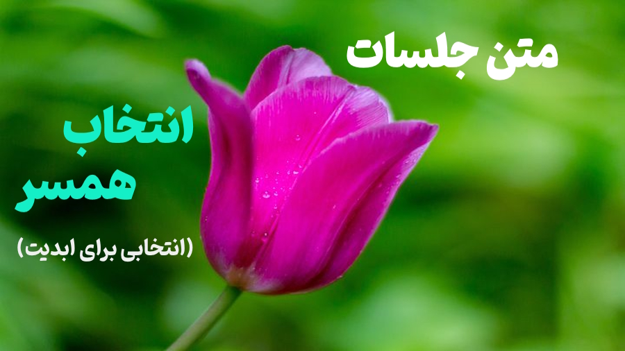 انتخاب همسر ـ متن جلسات