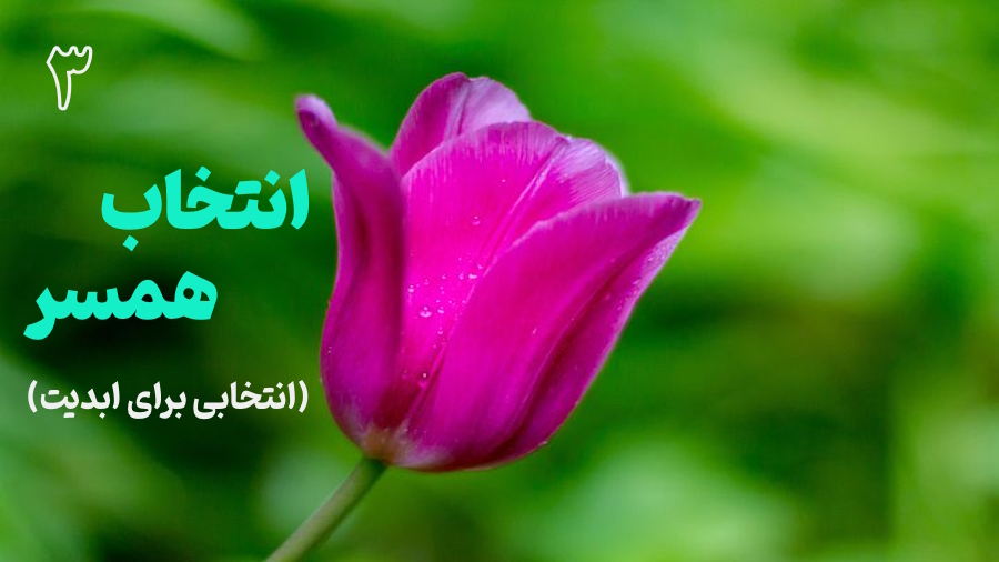انتخاب همسر ـ جلسه 3