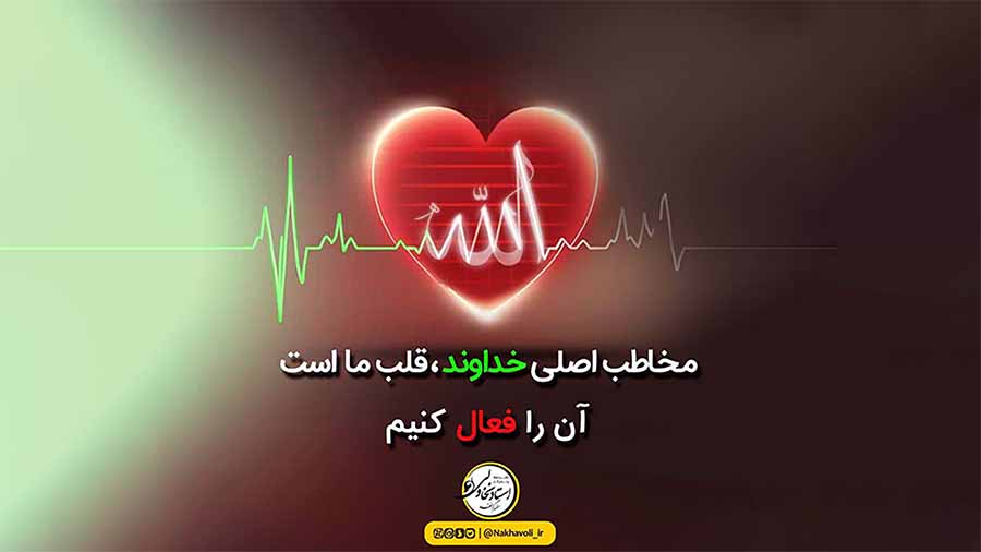 قلب ما بیدار است؟